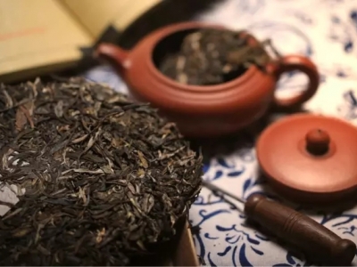 普洱茶专业术语，您知道几个？