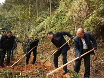 武夷山：召开千人誓师大会，现场整治“两违”茶山和“两违”建设 ...